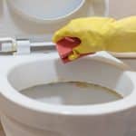 Rimuovete il calcare dal WC in modo naturale e facile.