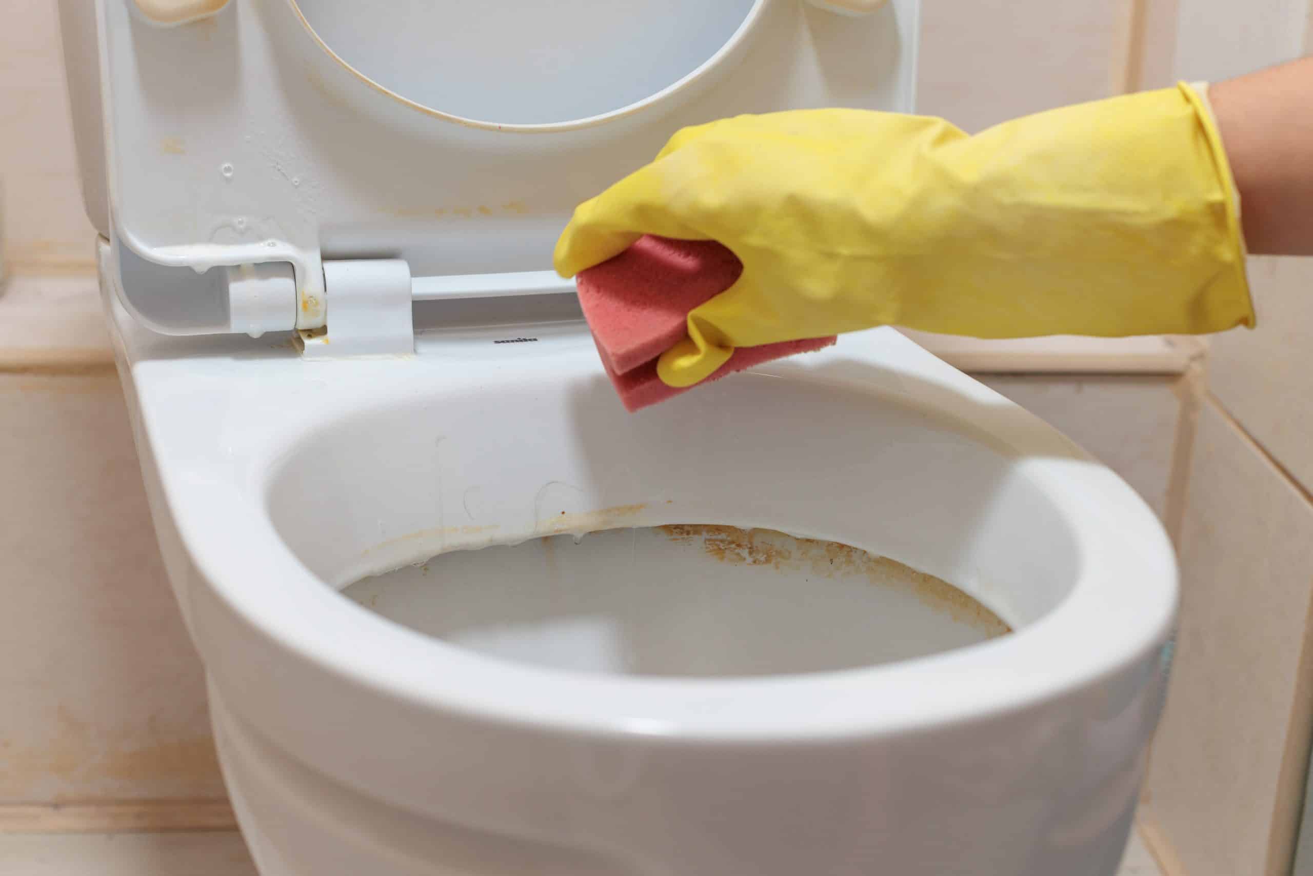 Rimuovete il calcare dal WC in modo naturale e facile.